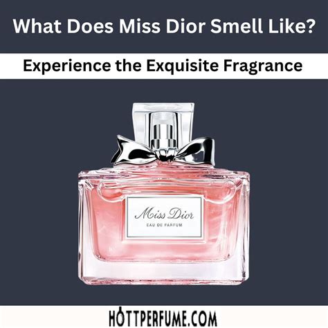 dior best perfume|what does miss dior smell like.